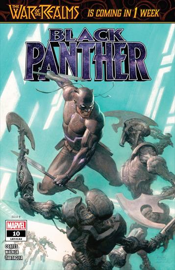 Black Panther 010 2019 Digital Zone-Empire - Black Panther 010-000.jpg