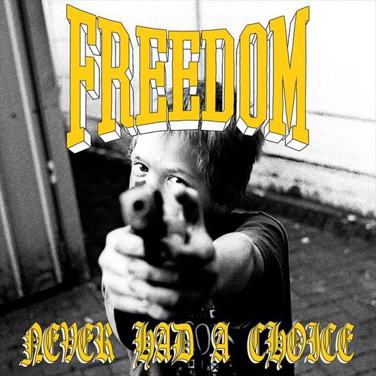 Freedom - Never Had a Choice2017_Hardcore - folder.jpg