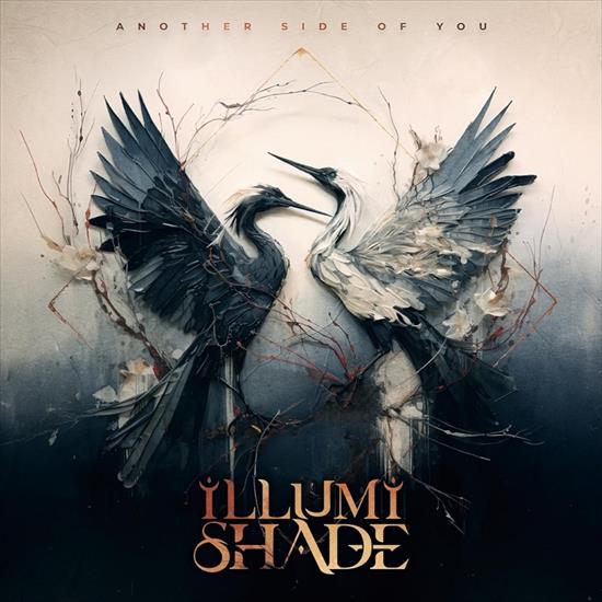 Illumishade - Another Side Of You 2024 - cover.jpg